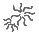 异色绒含量|0.2%